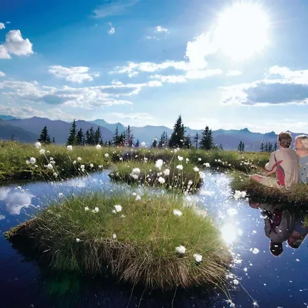 Spacious Holiday For Large Families In The Centre 펜션